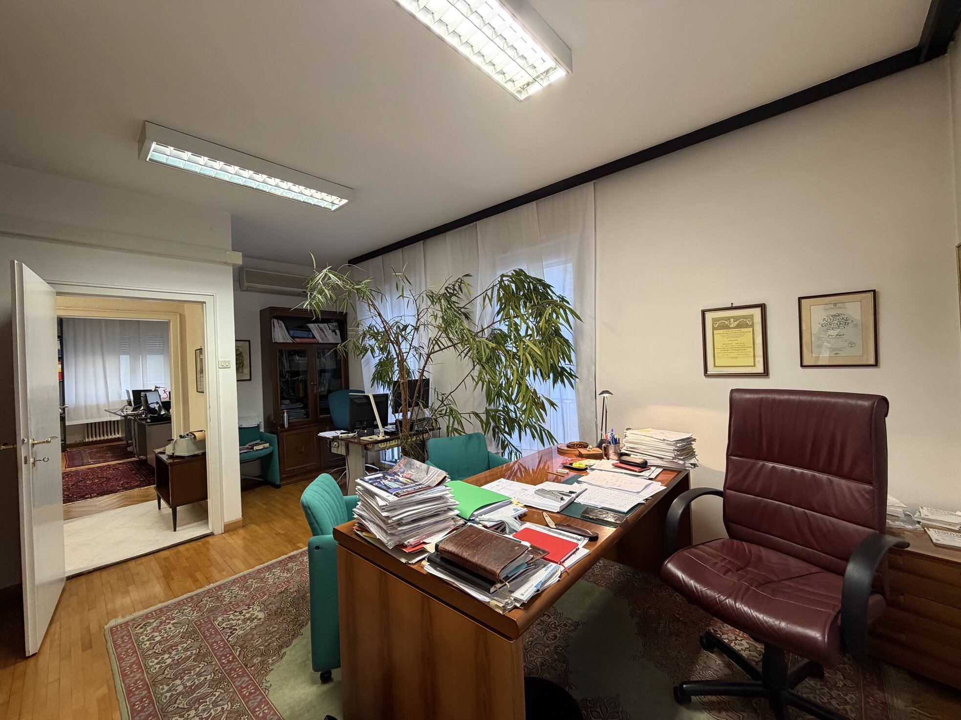 IMG_6199.jpeg