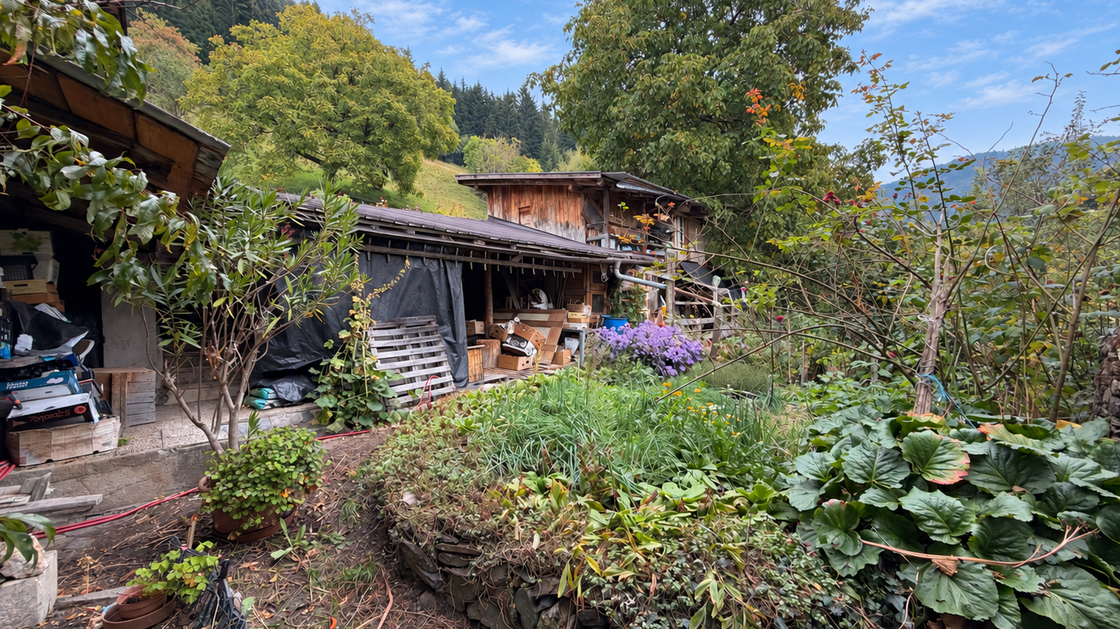 Detached two-family house requiring renovation in an idyllic location in Afers