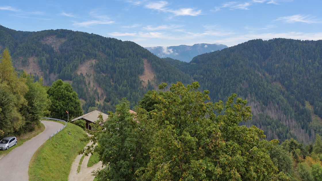 Detached two-family house requiring renovation in an idyllic location in Afers
