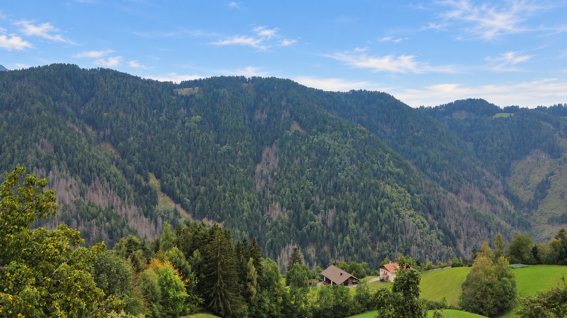 Detached two-family house requiring renovation in an idyllic location in Afers