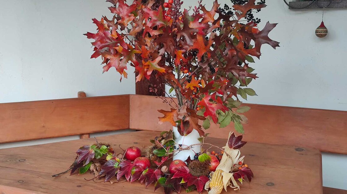 Nacktes Eigentum: Wunderschönes Wohnhaus mit Privatgarten