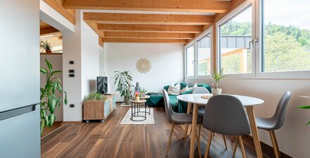 Modernes Reihenhaus mit autonomer, neuer Dachgeschosswohnung – separat erwerbbar