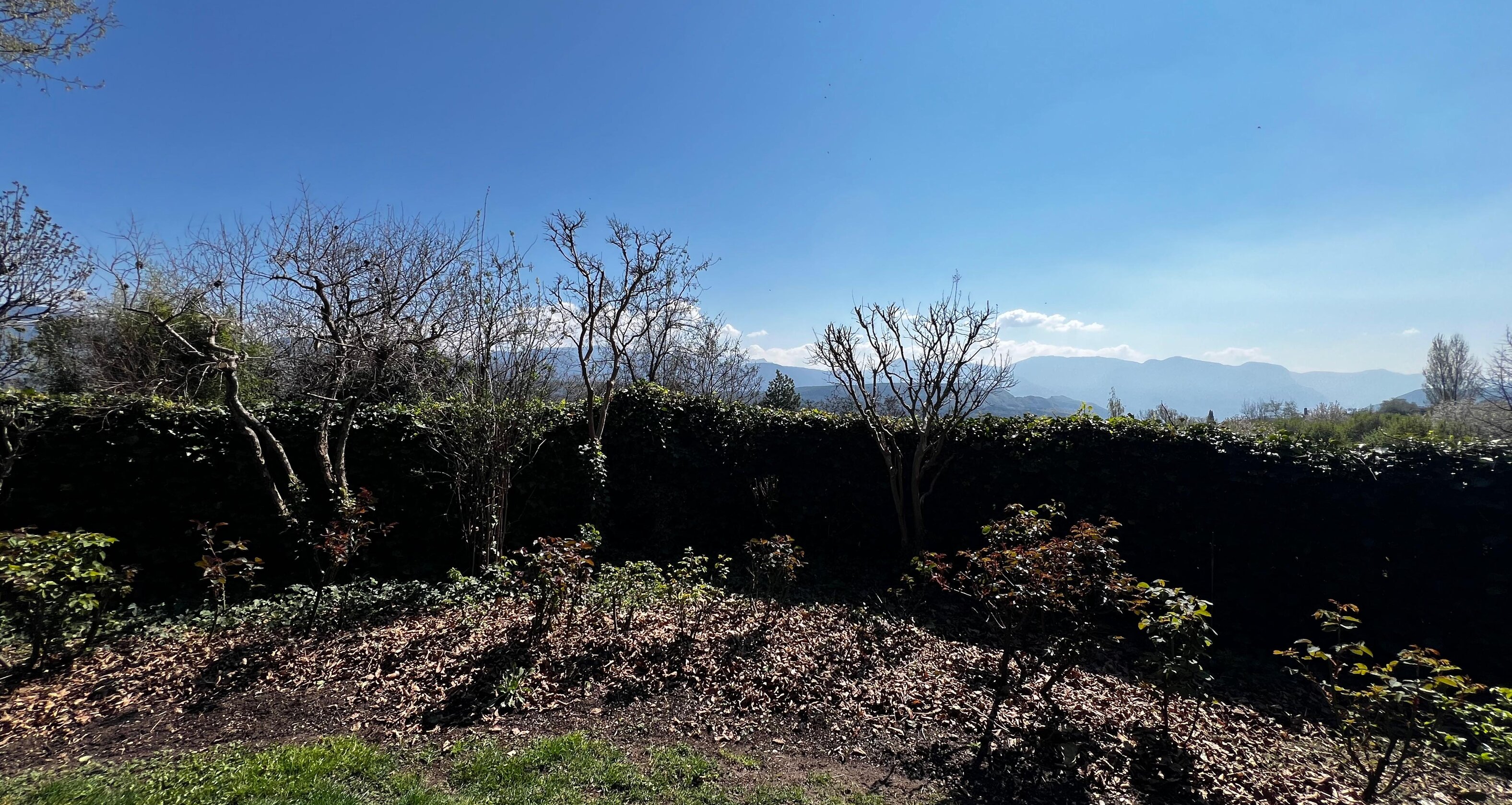 Casa unifamiliare con splendido giardino curato in zona tranquilla