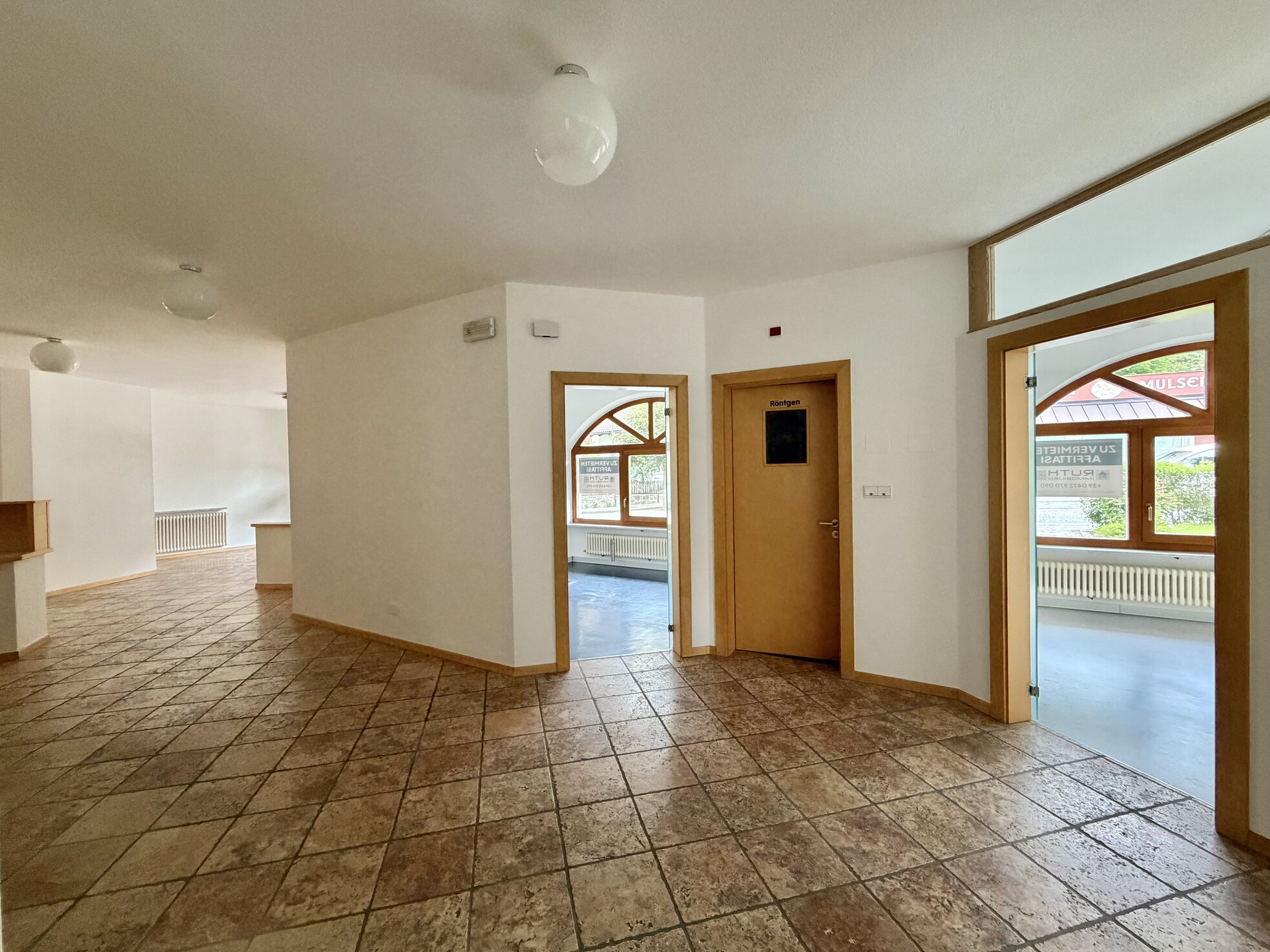 IMG_2351.jpeg