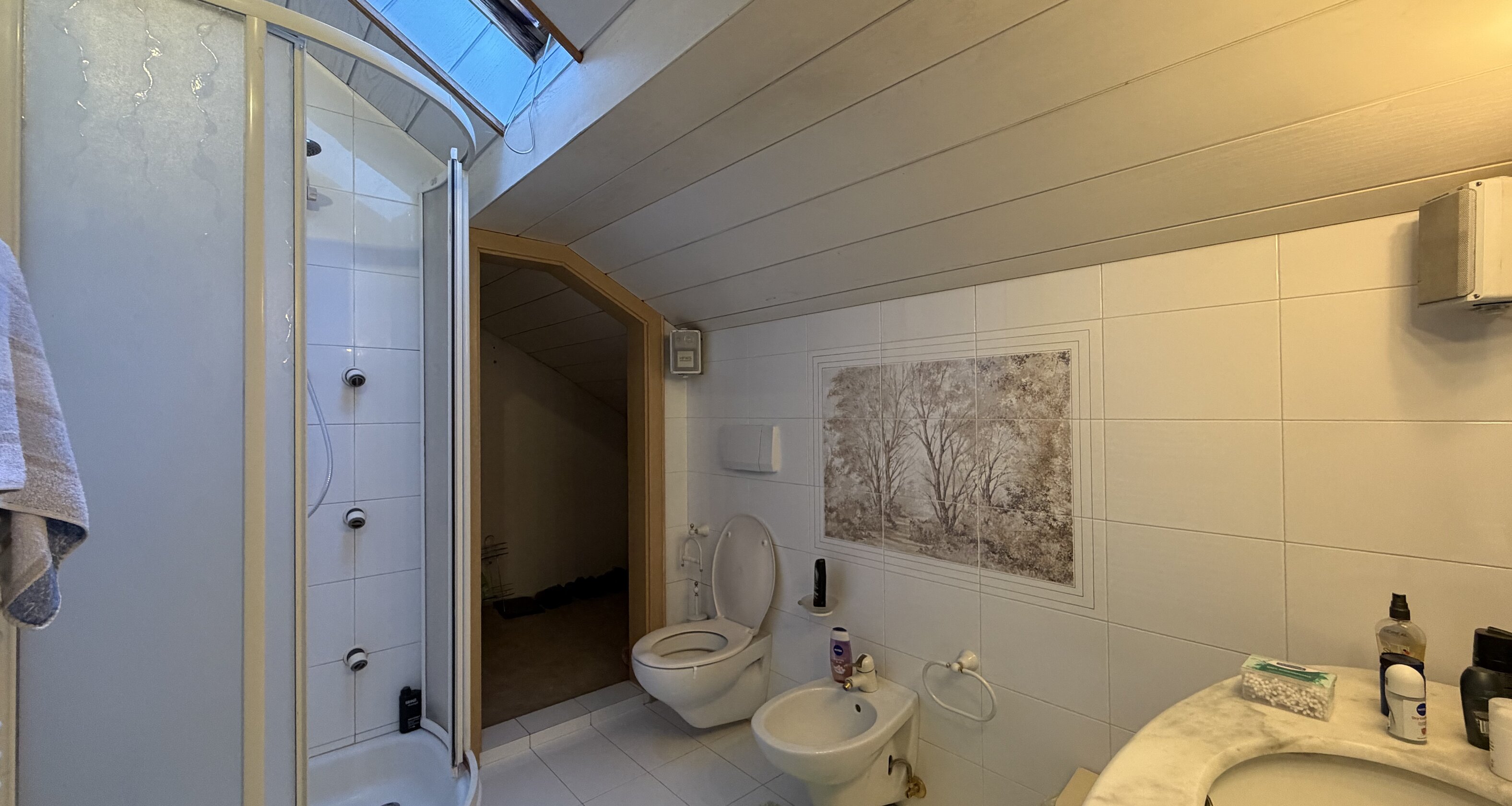 Detached house with private garden – renovation project with potential