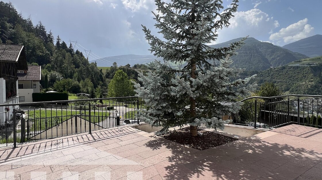 Due appartamenti con ampio giardino privato e magazzino
