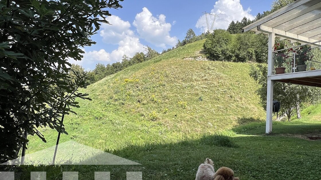 Due appartamenti con ampio giardino privato e magazzino
