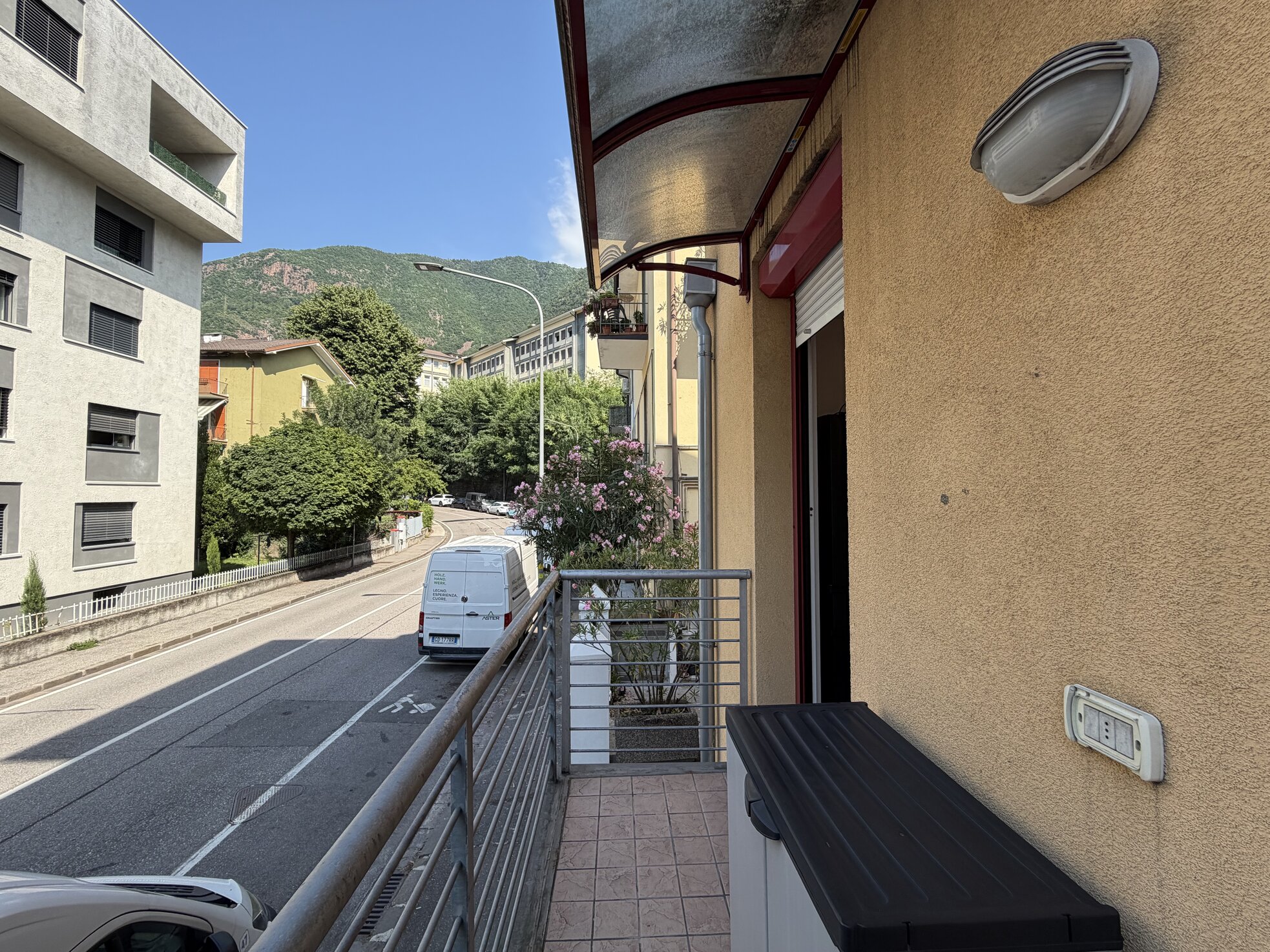 IMG_3467.jpeg