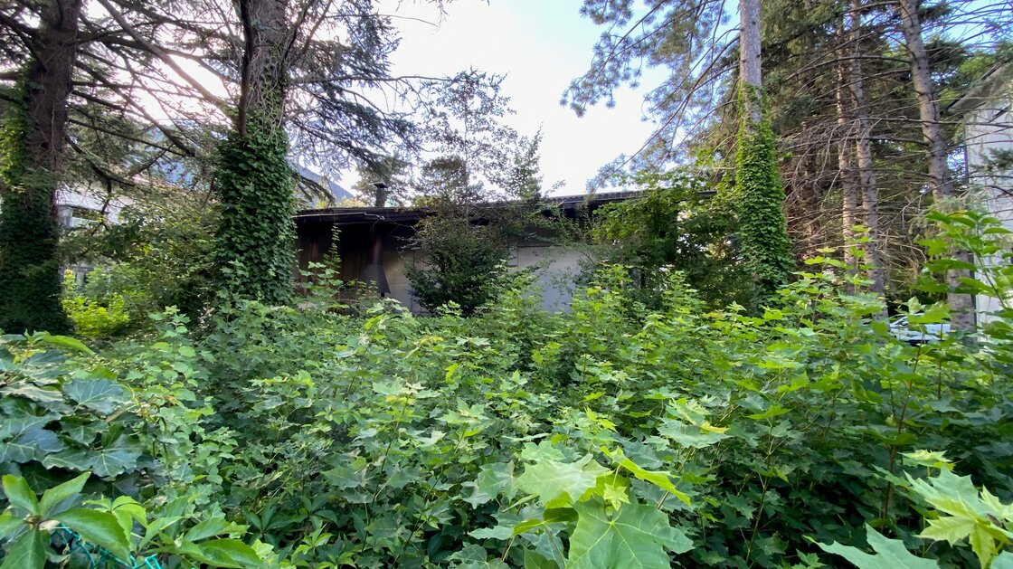 Villa Edi