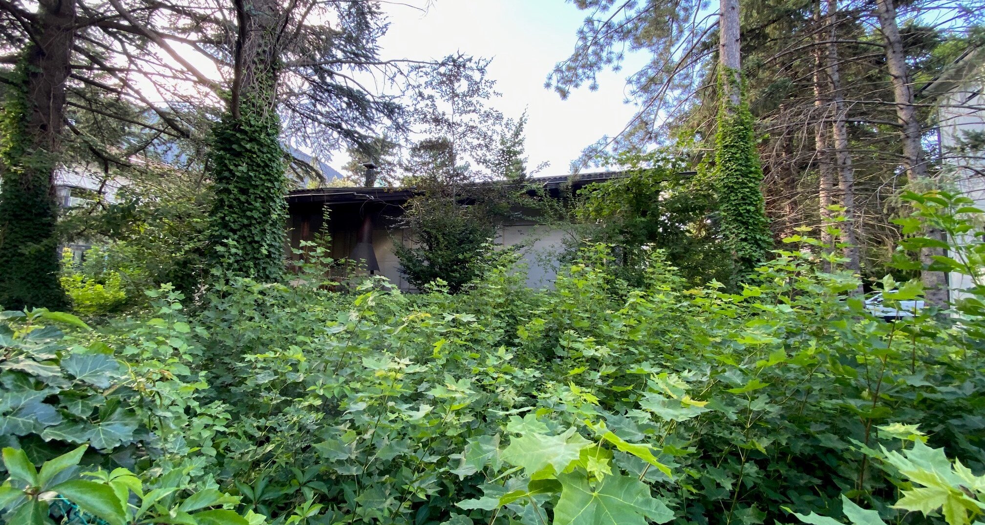 Villa Edi