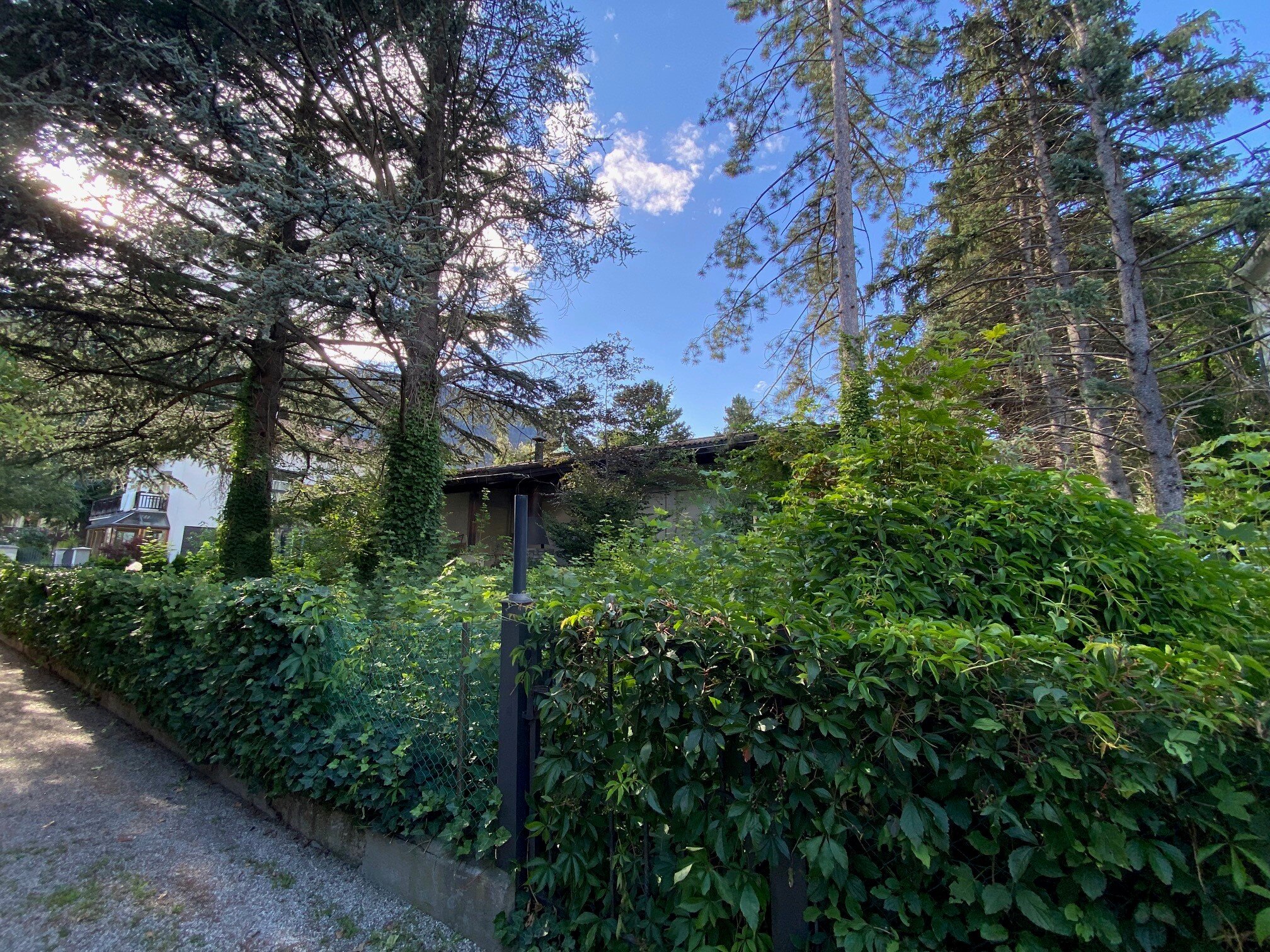 Foto Haus3.jpg