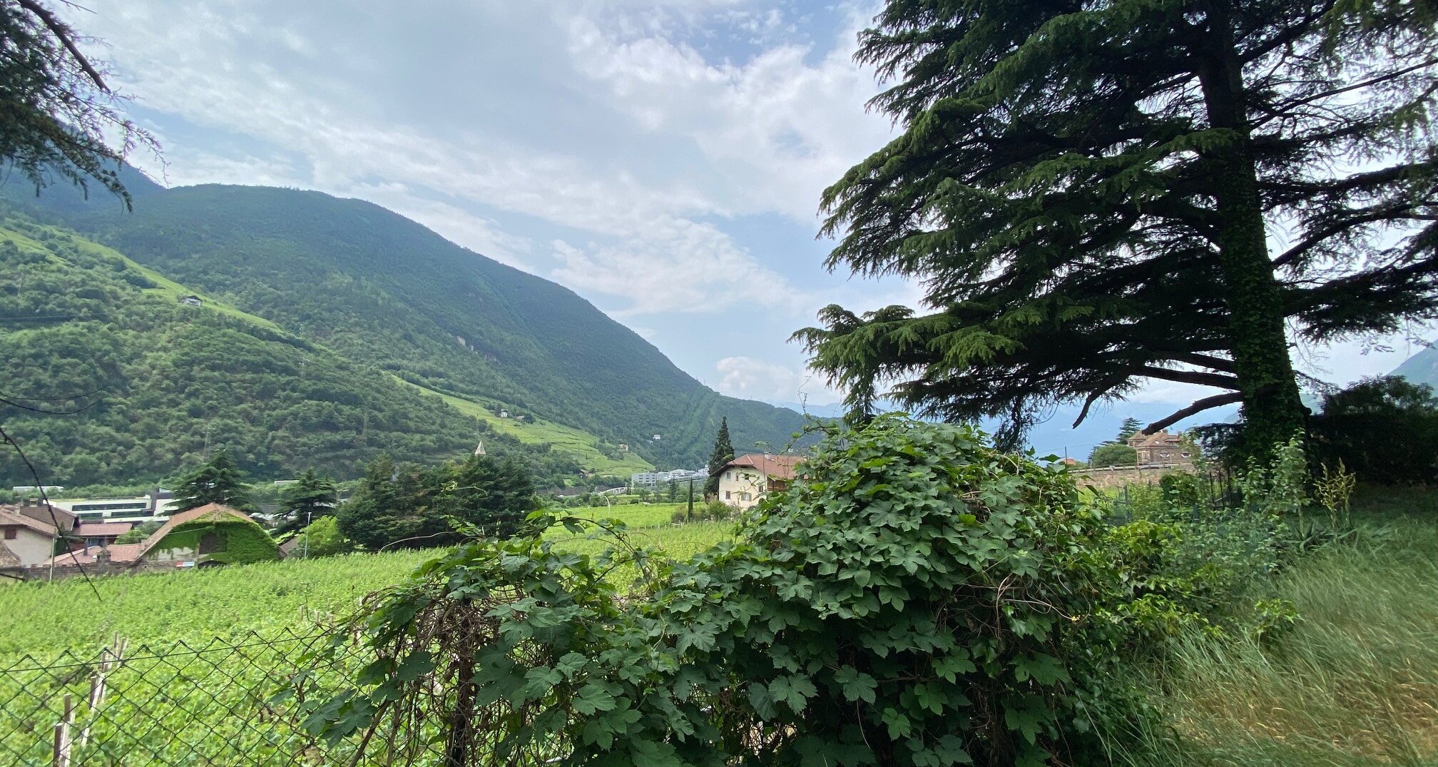 Cubatura esistente in splendida posizione 