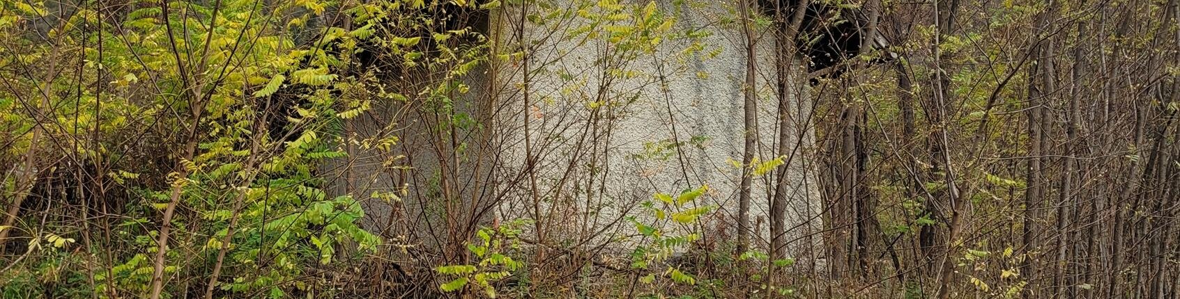 Bahnhaus mit großem Privatgarten
