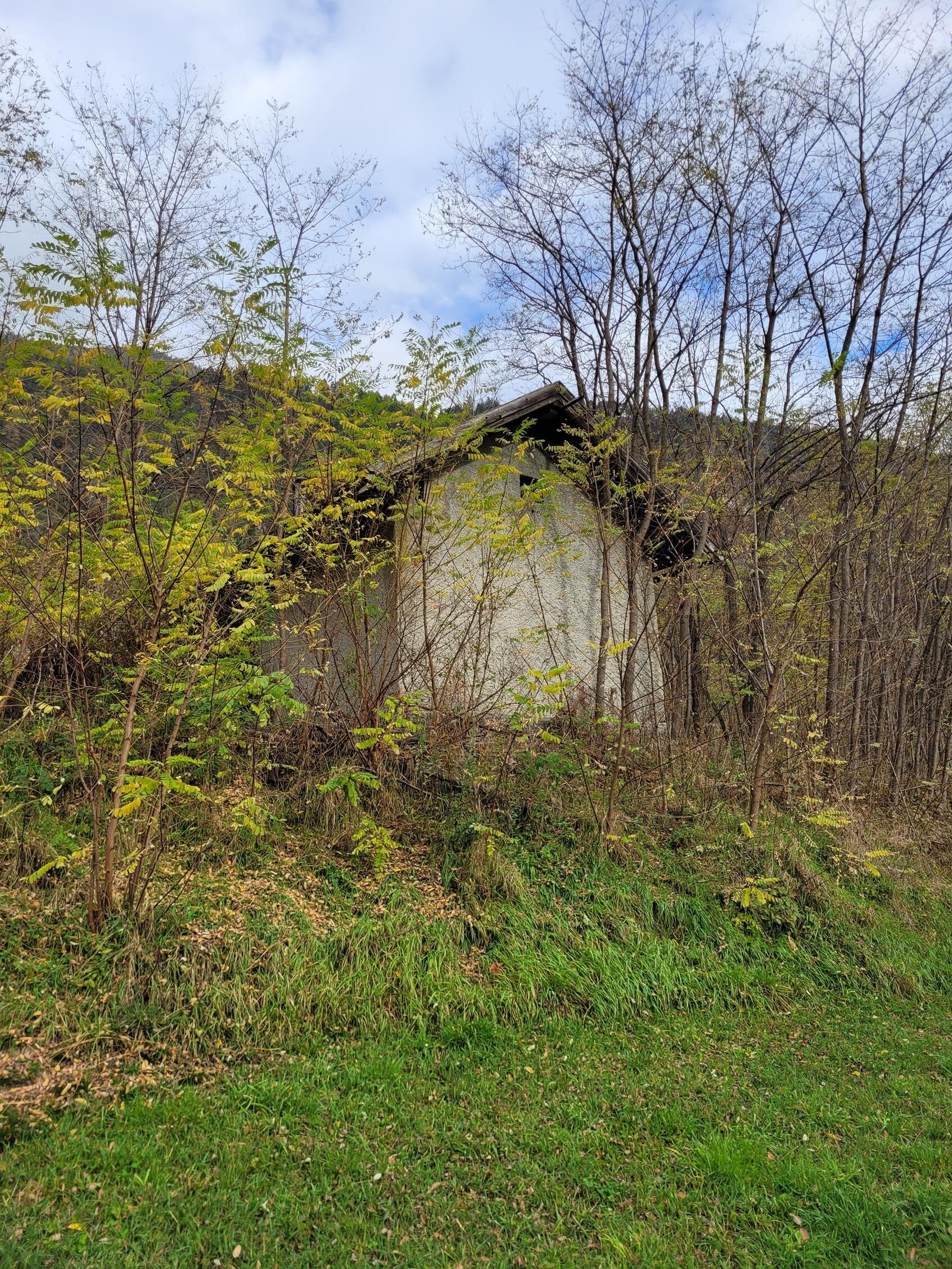 20221103_105550 -Copy-.jpg