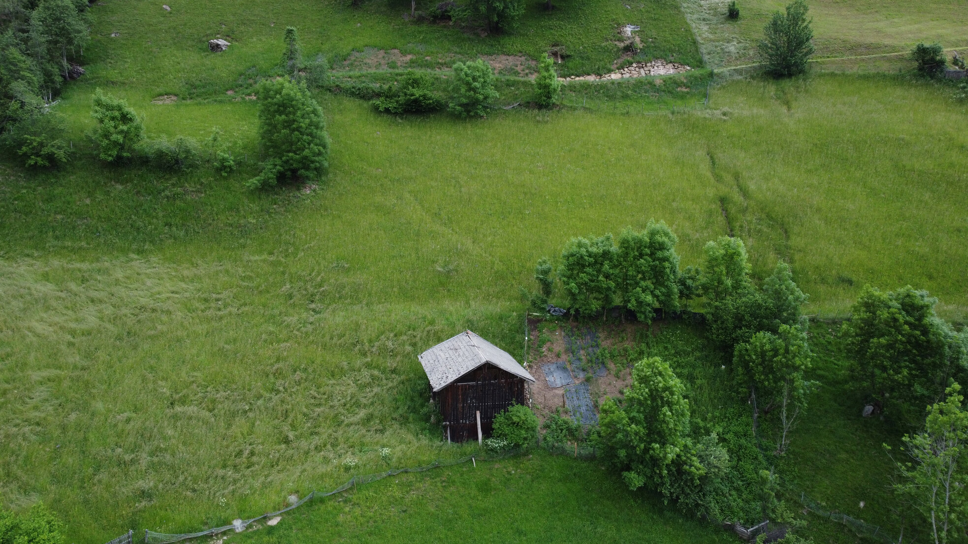 DJI_0133.jpeg