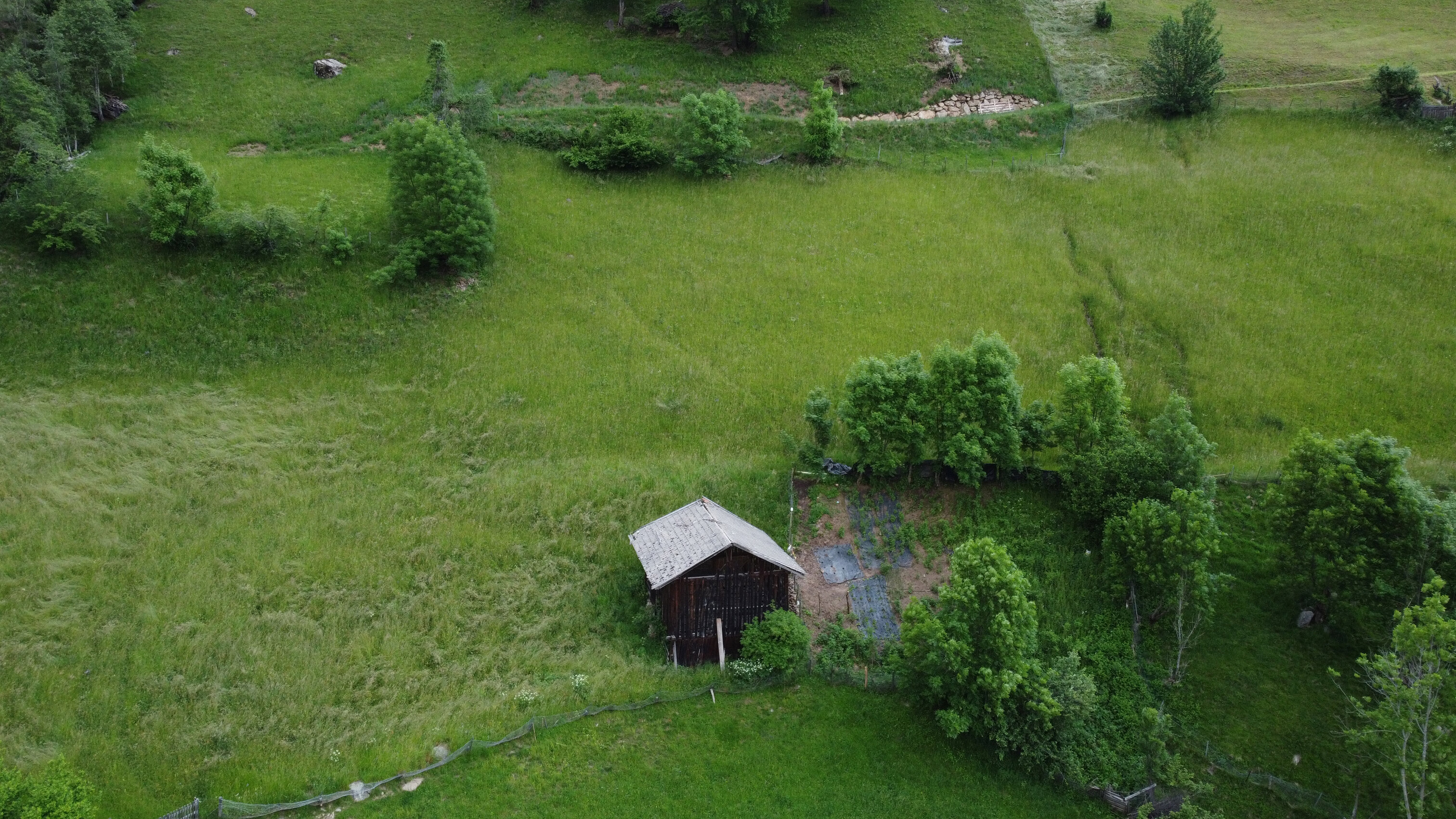 DJI_0133.jpeg
