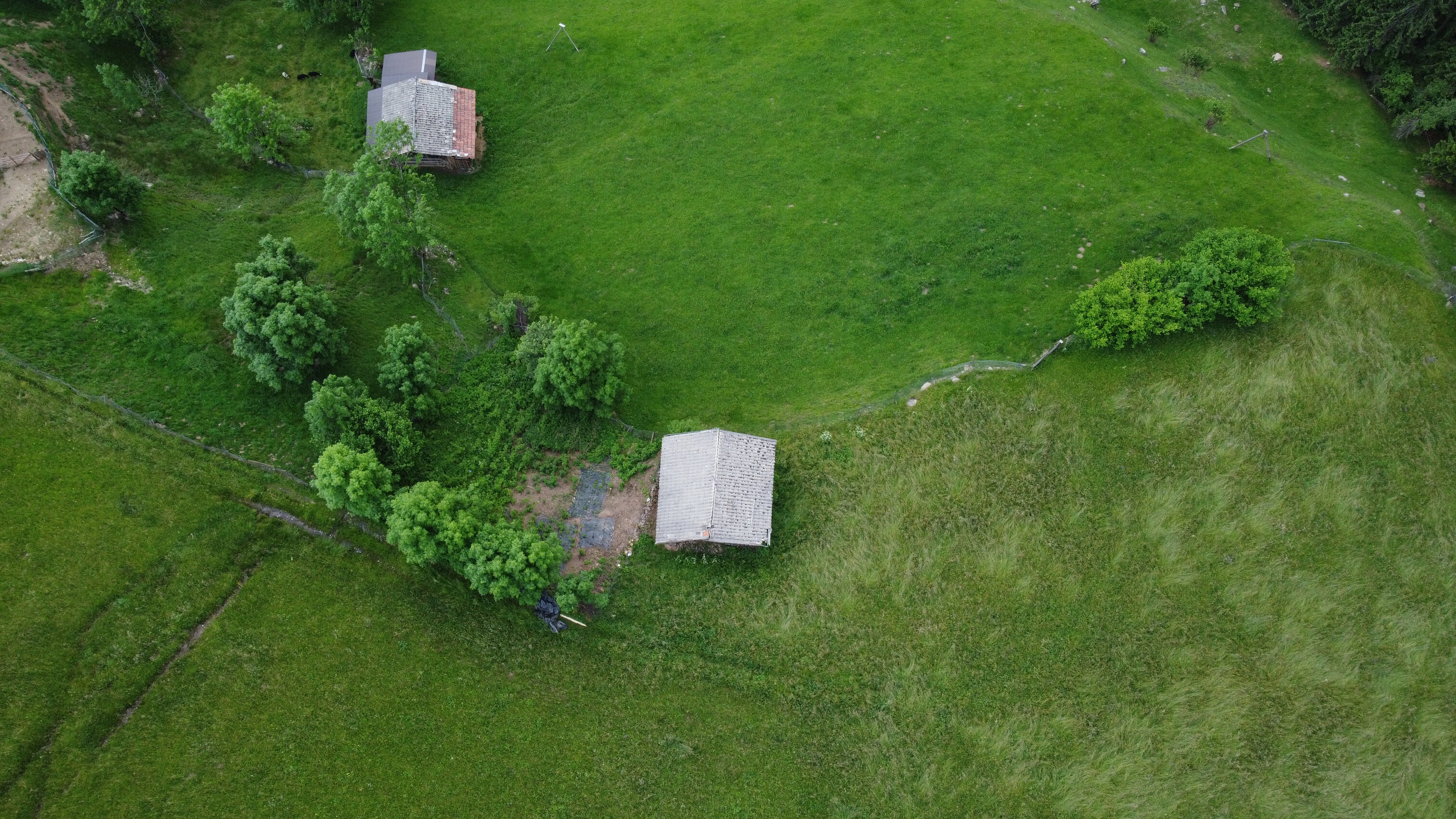 DJI_0129.jpeg