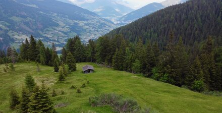 Rarity: Alpine hut with private land amid meadows and forests