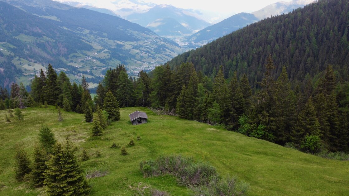 Rarity: Alpine hut with private land amid meadows and forests