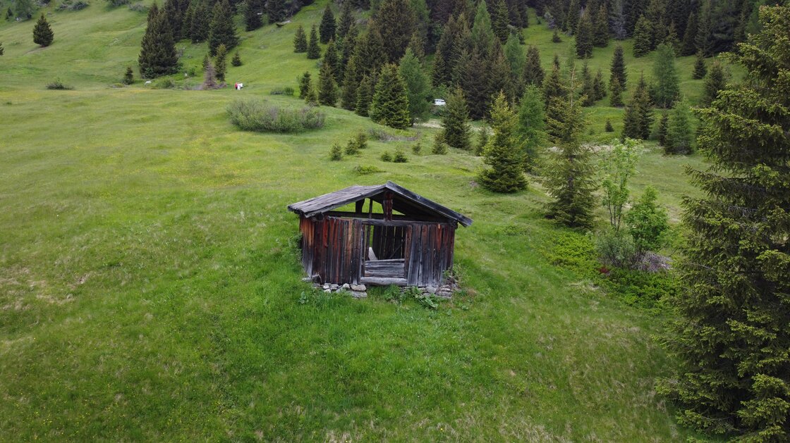 Rarity: Alpine hut with private land amid meadows and forests