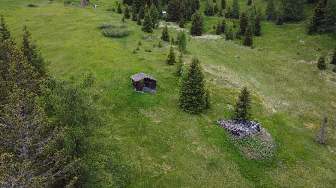 Rarity: Alpine hut with private land amid meadows and forests