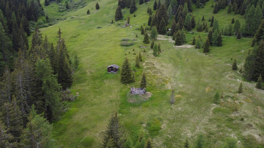 Rarity: Alpine hut with private land amid meadows and forests