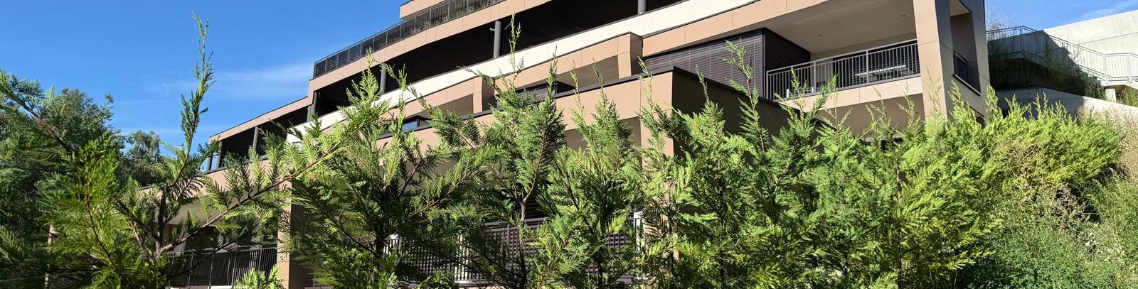 Große, neue 3-Raum-Wohnung mit Terrasse in sonniger Südwestlage
