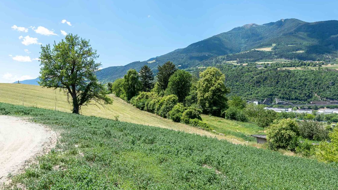 A3: Neue Vierzimmerwohnung im hohen Stockwerk mit ca. 400 m² Privatgarten