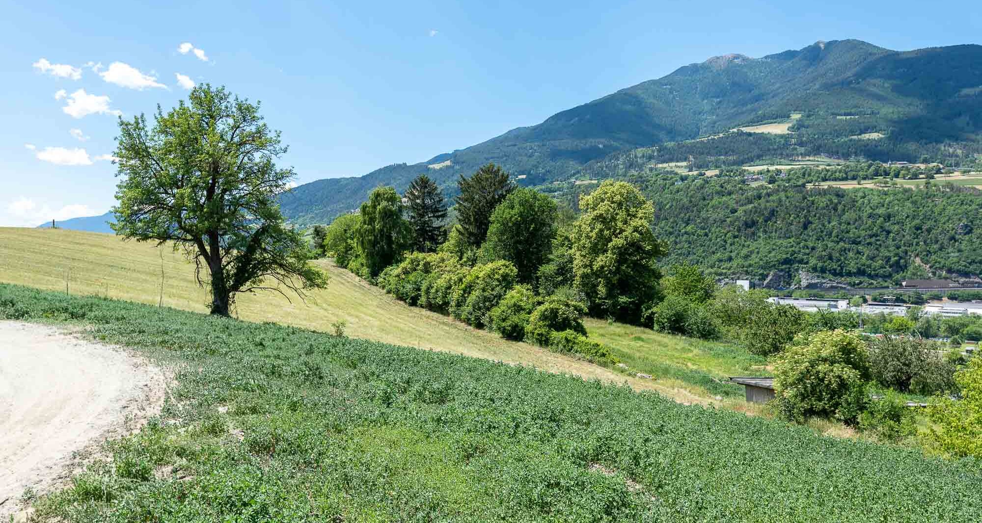 A3: New four-room apartment on a high floor with ~400 m² garden
