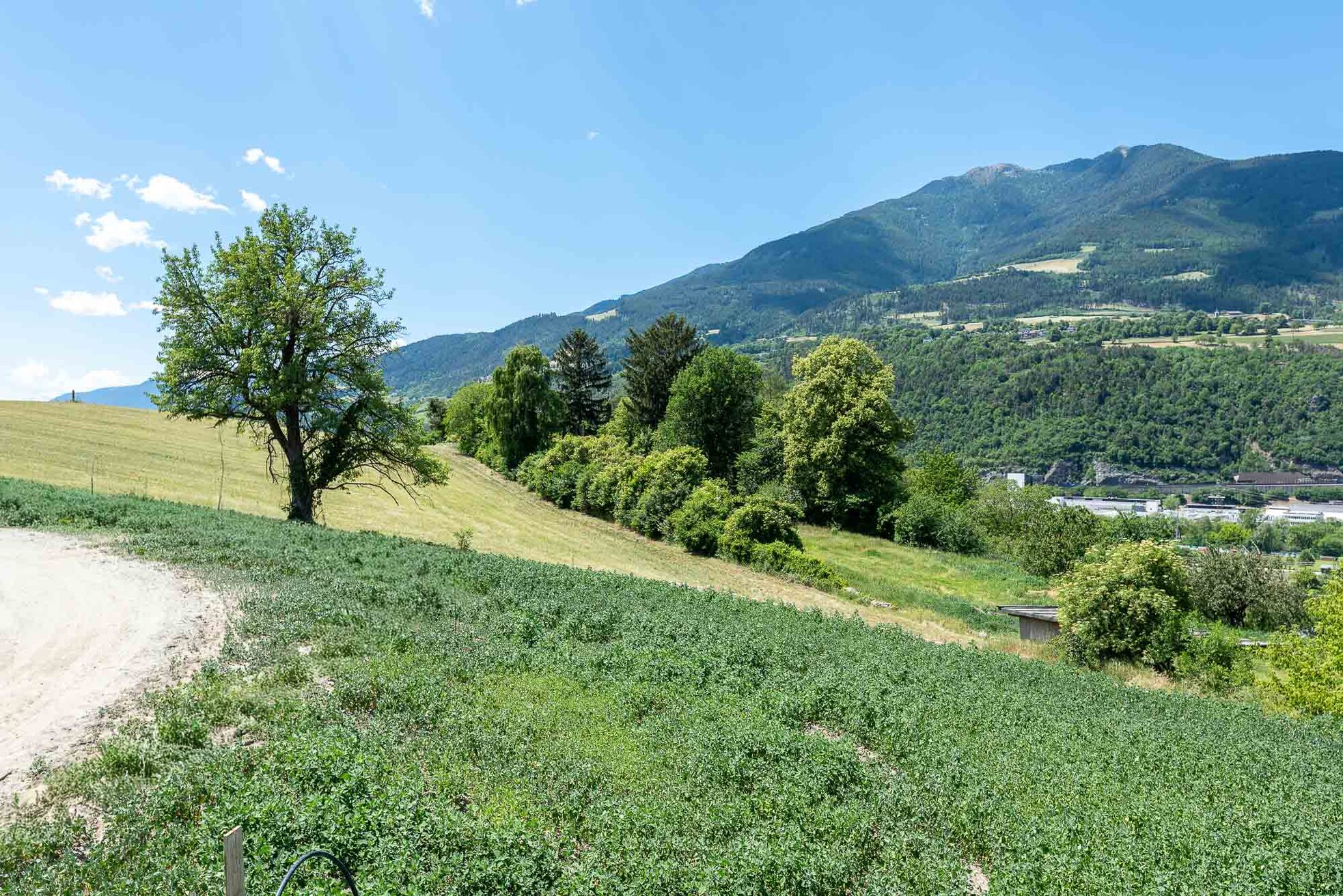 RUTH_IMMOBILIEN-18_2.jpg