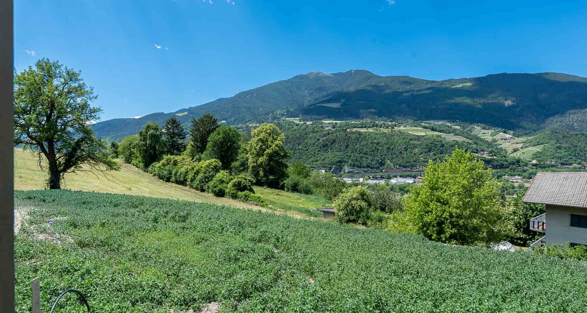 A3: New four-room apartment on a high floor with ~400 m² garden