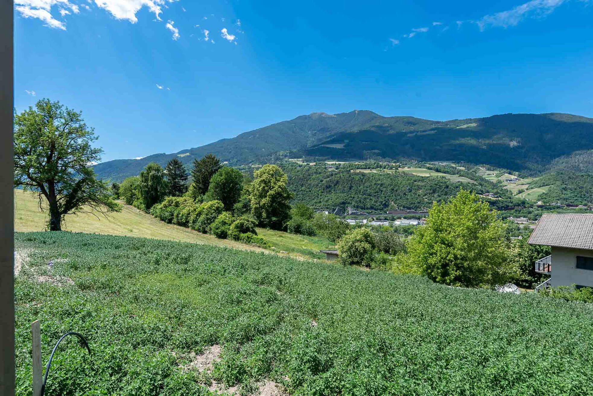 RUTH_IMMOBILIEN-24_2.jpg