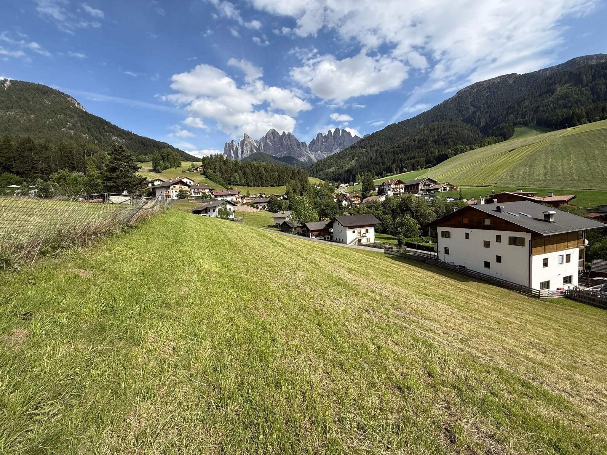 WhatsApp Image 2026-06-18 at 12.29.29.jpeg